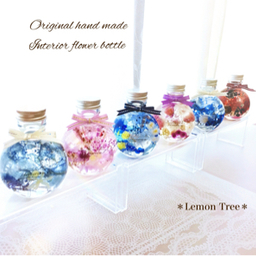 ＊Lemon  Tree＊