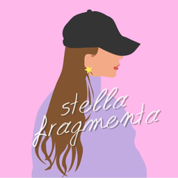 stella fragmenta