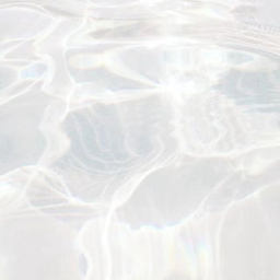 babys breath