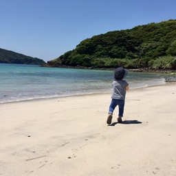 みるくるみかん