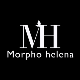 morpho helena