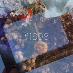 1998  