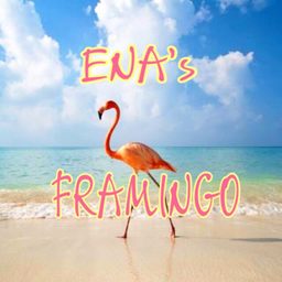ENA's FLAMINGO