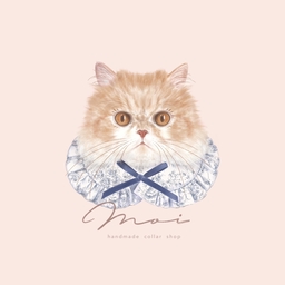 moicat
