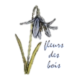 fleurs des bois