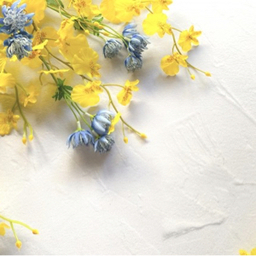 sora-flower