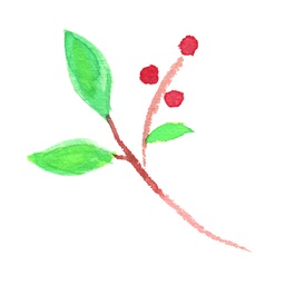 mocoplants