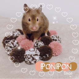 ふちゃん。