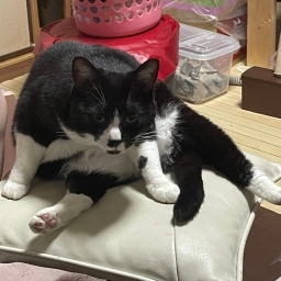 ゆづな