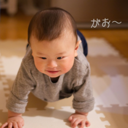 tata*