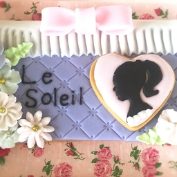 le soleil4