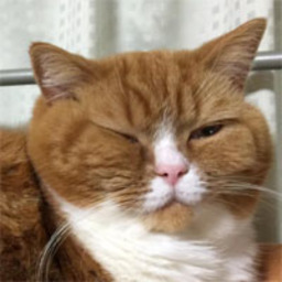 daifuku-kun