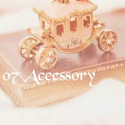 07 Accessory