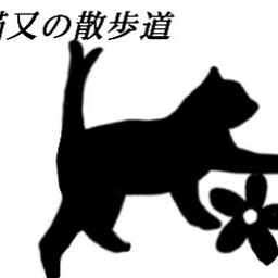 猫又の散歩道