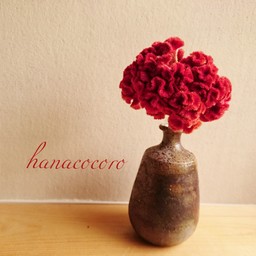 hanacocoro