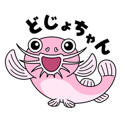 どじょちゃん