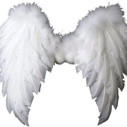 Pierce_let's_fly
