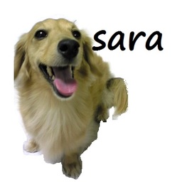 sara