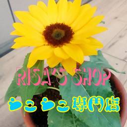 リサ's Shop