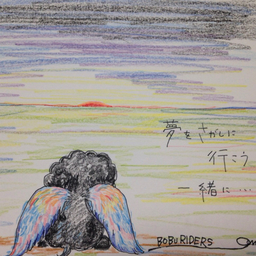 BOBU RIDERS-ONE