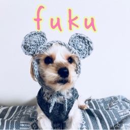 ❁﻿ fuku  ❁﻿