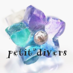 petit*divers