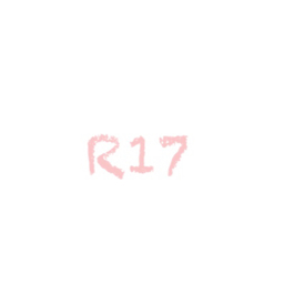 R17(アールいちなな)