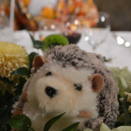 Re:omette(リ・オメット)