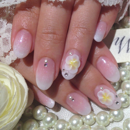 plumeria♡