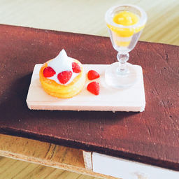 ❁﻿*ﾟミニチュアハウス SHION*ﾟ
