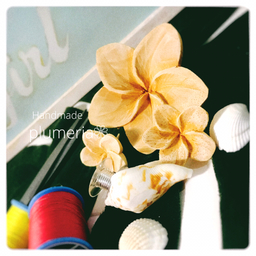 plumeria❁
