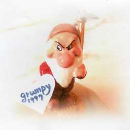 grumpy1997