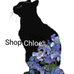 shop-chloe