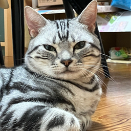 レオレオ壱番館