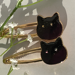 ねこまるけ