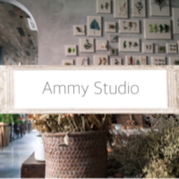 ammystudio