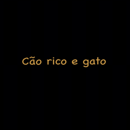 Cão rico e gato