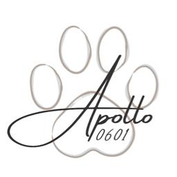 apollo0601