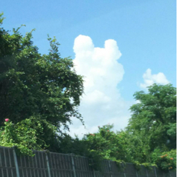 おすず