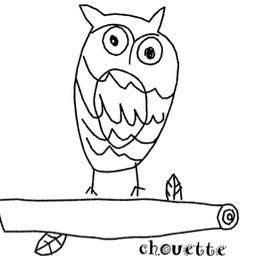 chouette