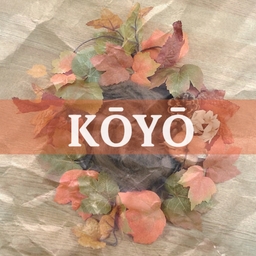 koyo1008