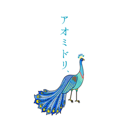 aomidori2024