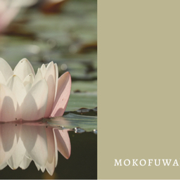 mokofuwa𓂃 𓈒𓏸໒꒱