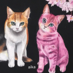 aika