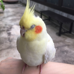 min