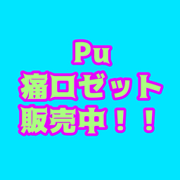 Pu  フルオーダー受け付け中！残り1枠