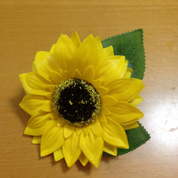 okinawahimawari