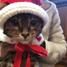 手作りSHOP☆CHIVITO