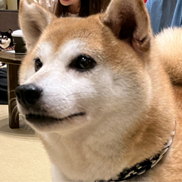 yagiwo