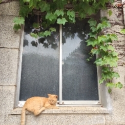 prettypaw